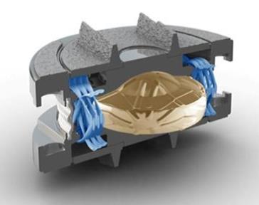 Disc Replacement versus Fusion Surgery